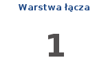 Warstwa łącza