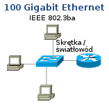 100 Gigabit Ethernet