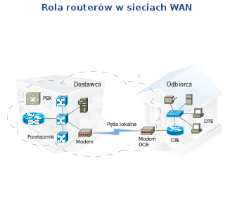 Rola routerów w sieciach WAN