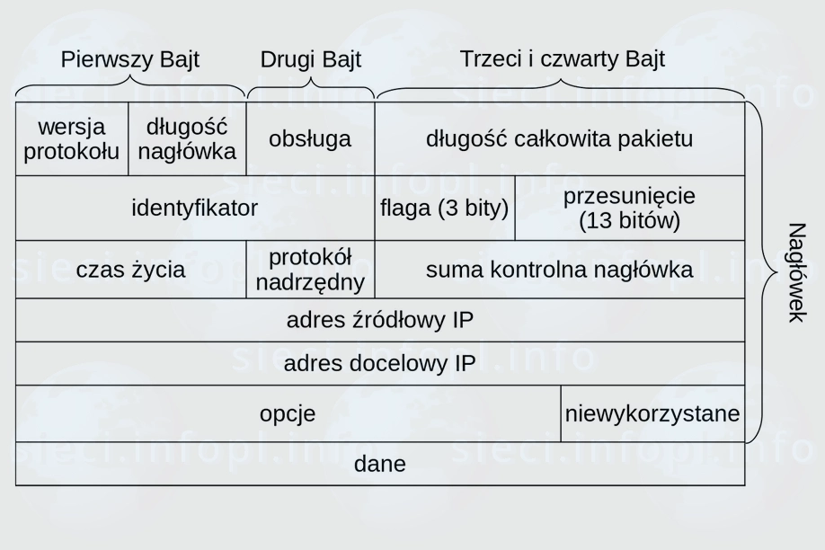 Struktura pakietu IP