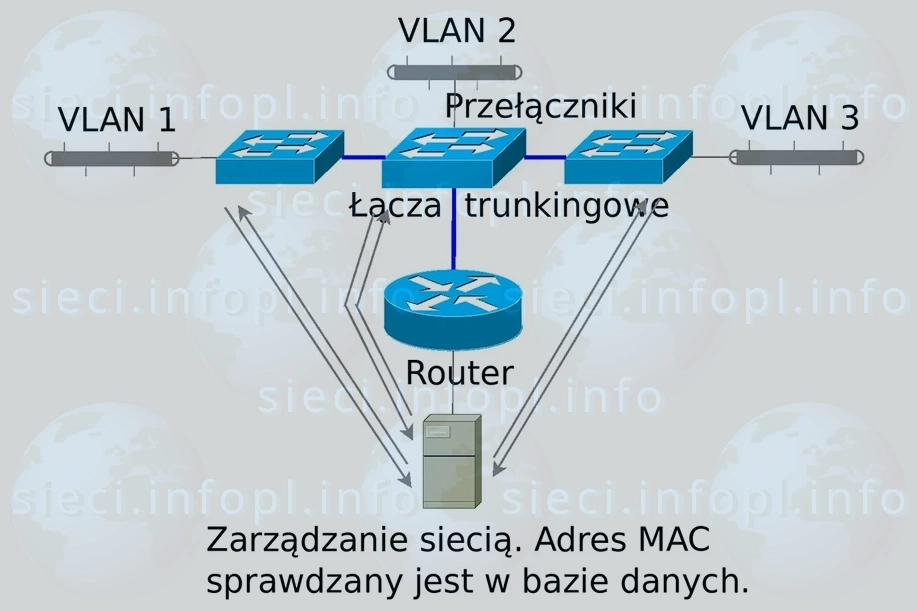VLAN dynamiczny