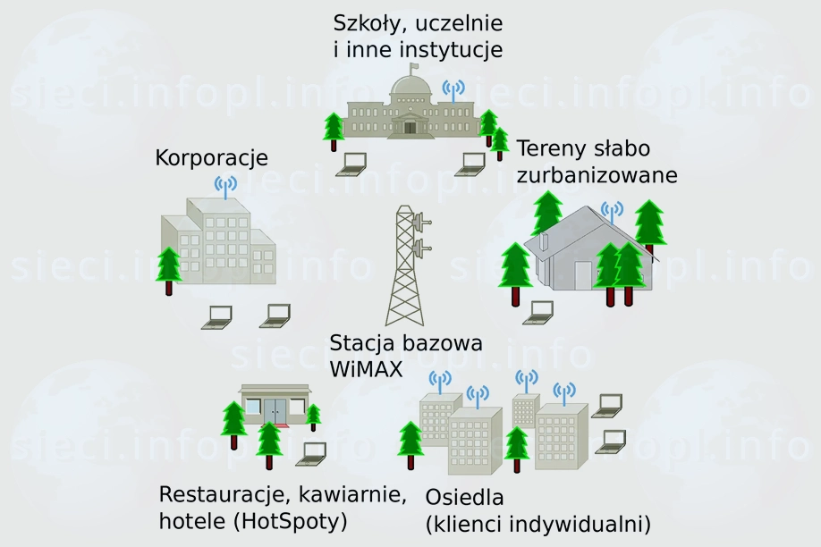Sieć WiMAX